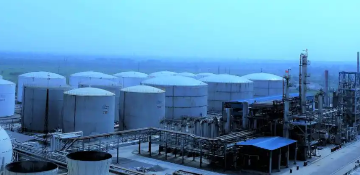 福州坤度信息科技解读政企数字化转型中的软件开发新趋势